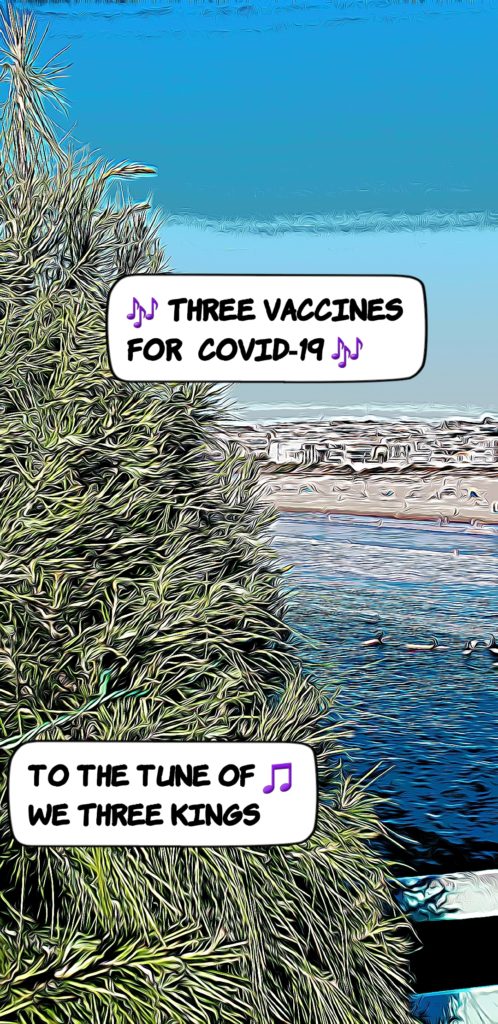 Three Vaccines for Covid-19 song parody, tree on Manhattan Beach pier