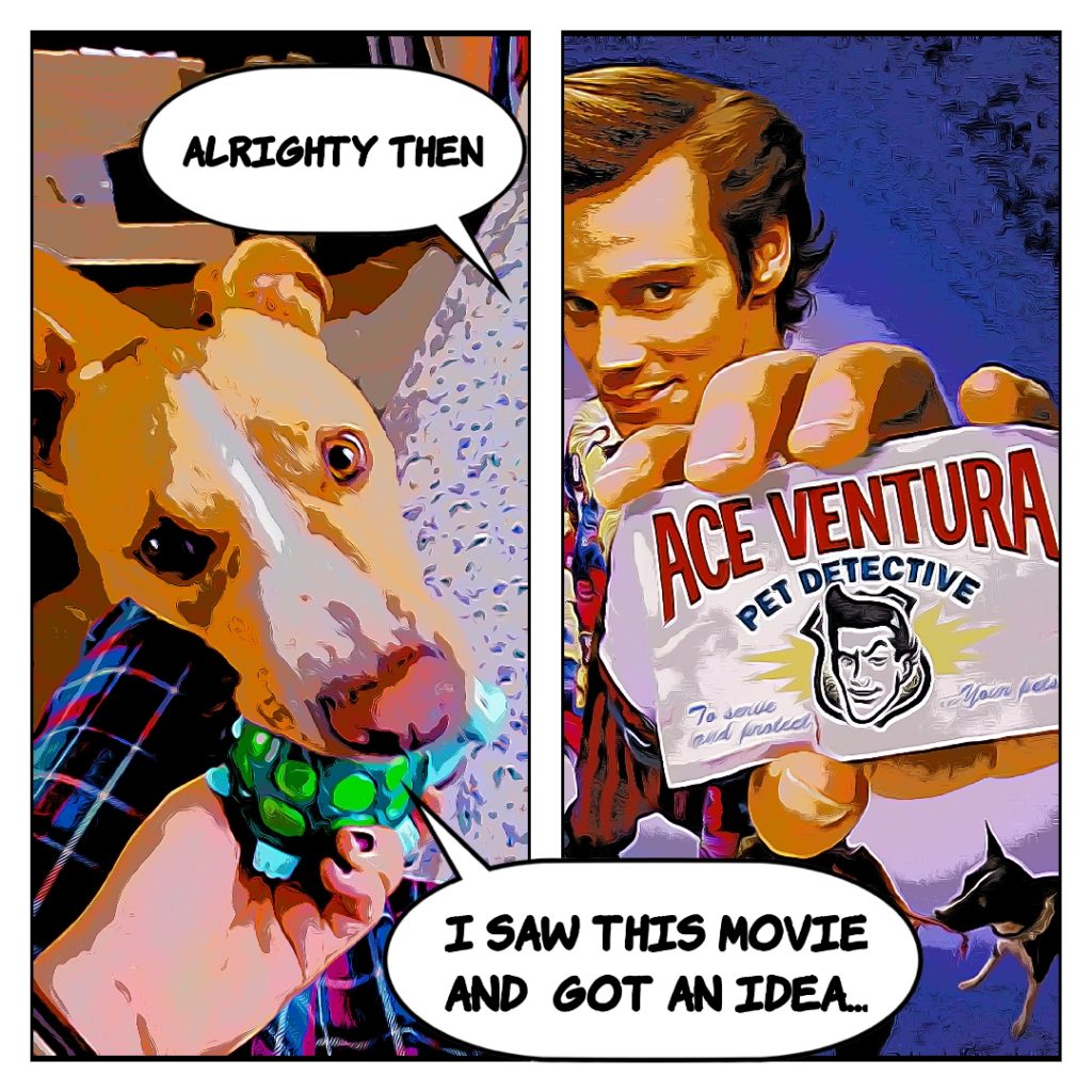 Having seen Ace Ventura, Ace says, I saw this movie and got an idea.
