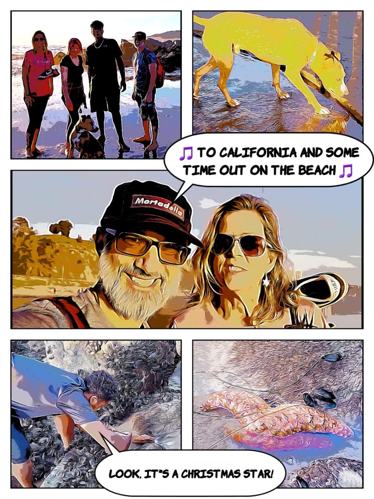 collage a beach photos, song: To California and some time out on the beach. D sees a Christmas sea star.